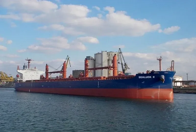 SEALUCK II Bulk Carrier IMO 9288344 photo 3
