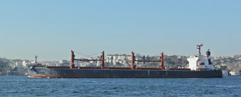 SEALUCK II Bulk Carrier IMO 9288344 photo 4