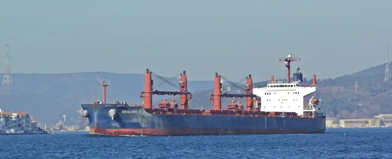 SEALUCK II Bulk Carrier IMO 9288344 photo 5
