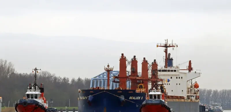 SEALUCK II Bulk Carrier IMO 9288344 photo 8