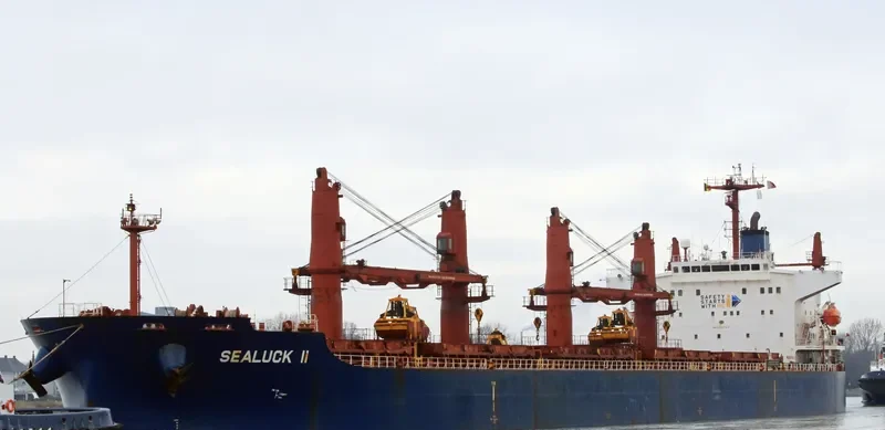 SEALUCK II Bulk Carrier IMO 9288344 photo 9
