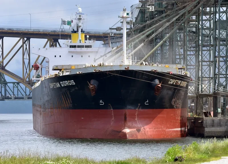 CAPETAN GIORGIS Bulk Carrier IMO 9288423 photo 4