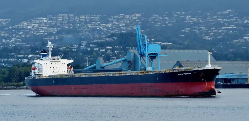 MAGIC P Bulk Carrier IMO 9288447 photo 5