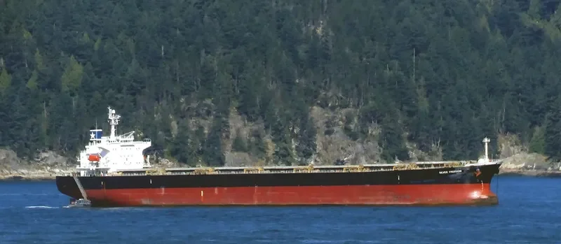 MAGIC P Bulk Carrier IMO 9288447 photo 9