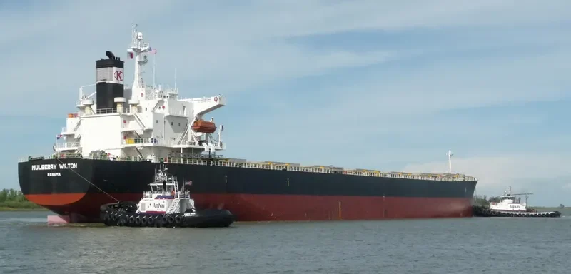 MAGIC P Bulk Carrier IMO 9288447 photo 10