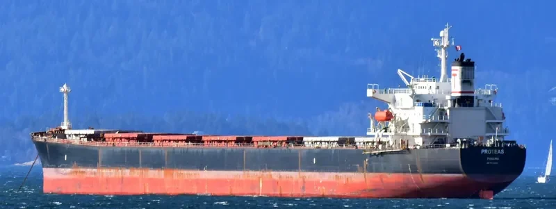 PROTEAS Bulk Carrier IMO 9288459 photo 6