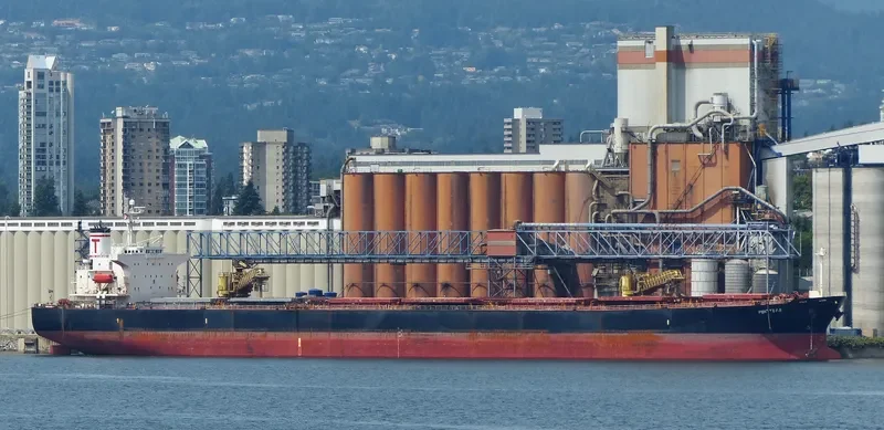 PROTEAS Bulk Carrier IMO 9288459 photo 10