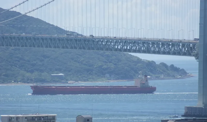 GORGOYPIKOOS Bulk Carrier IMO 9288461 photo 2