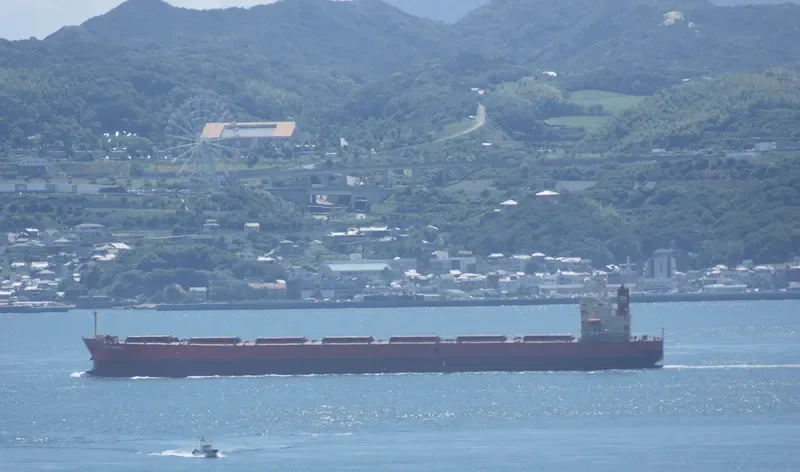 GORGOYPIKOOS Bulk Carrier IMO 9288461 photo 3