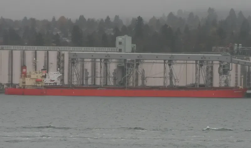 GORGOYPIKOOS Bulk Carrier IMO 9288461 photo 4