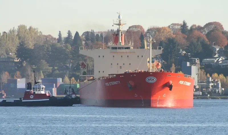 GORGOYPIKOOS Bulk Carrier IMO 9288461 photo 5