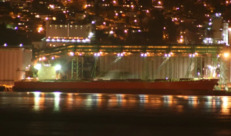 GORGOYPIKOOS Bulk Carrier IMO 9288461 photo 7