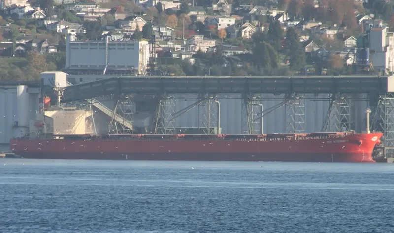 GORGOYPIKOOS Bulk Carrier IMO 9288461 photo 8