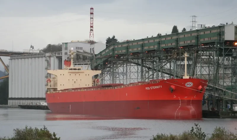 GORGOYPIKOOS Bulk Carrier IMO 9288461 photo 9