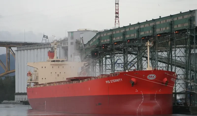 GORGOYPIKOOS Bulk Carrier IMO 9288461 photo 10