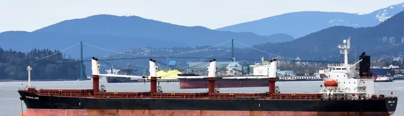 NEWSEAS JADE Bulk Carrier IMO 9288485 photo 2