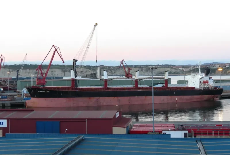 NEWSEAS JADE Bulk Carrier IMO 9288485 photo 3