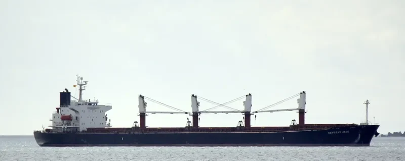 NEWSEAS JADE Bulk Carrier IMO 9288485 photo 4