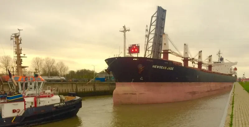 NEWSEAS JADE Bulk Carrier IMO 9288485 photo 8