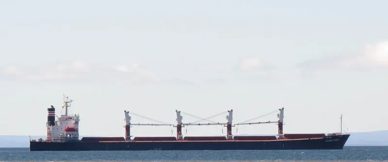 AM OCEAN SILVER Bulk Carrier IMO 9288497