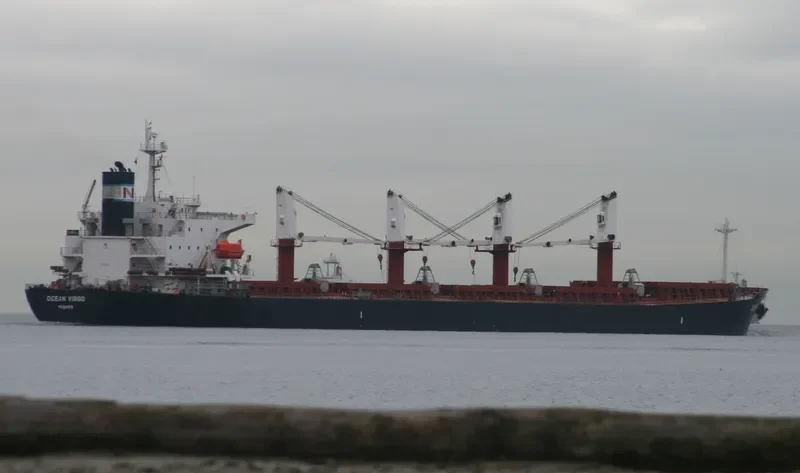AM OCEAN SILVER Bulk Carrier IMO 9288497 photo 6