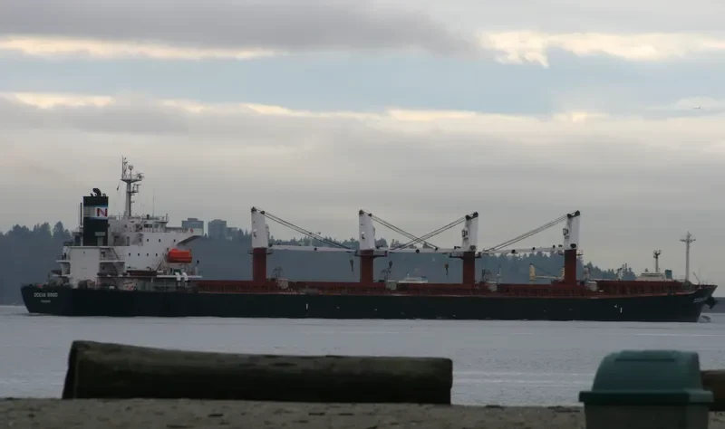 AM OCEAN SILVER Bulk Carrier IMO 9288497 photo 7