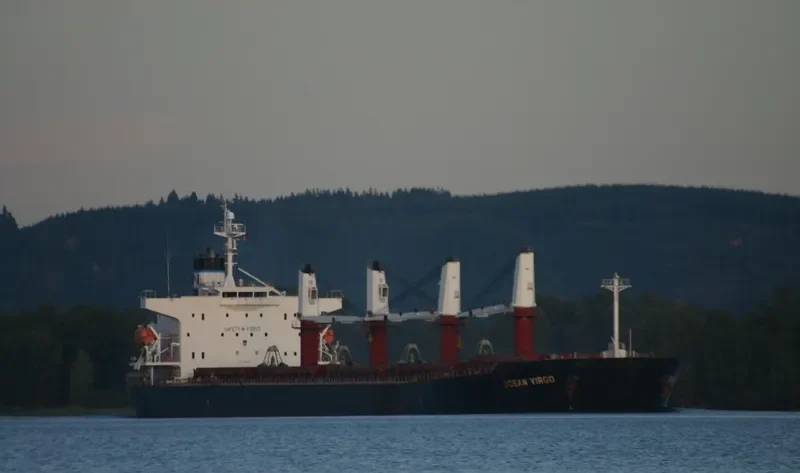 AM OCEAN SILVER Bulk Carrier IMO 9288497 photo 8