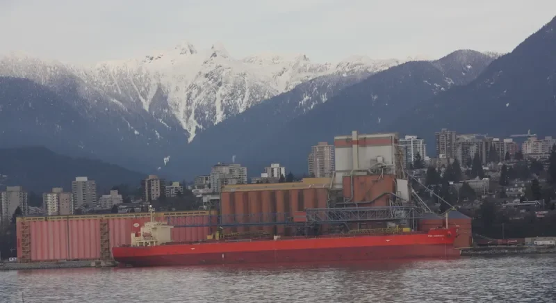 MINOAN COURAGE Bulk Carrier IMO 9288526 photo 6