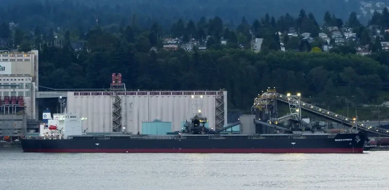 ROSCO CYPRESS Bulk Carrier IMO 9288538 photo 3