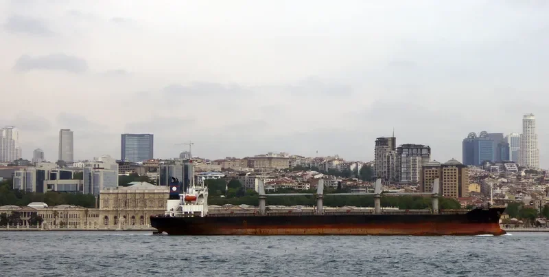 PANDA Bulk Carrier IMO 9288540 photo 5
