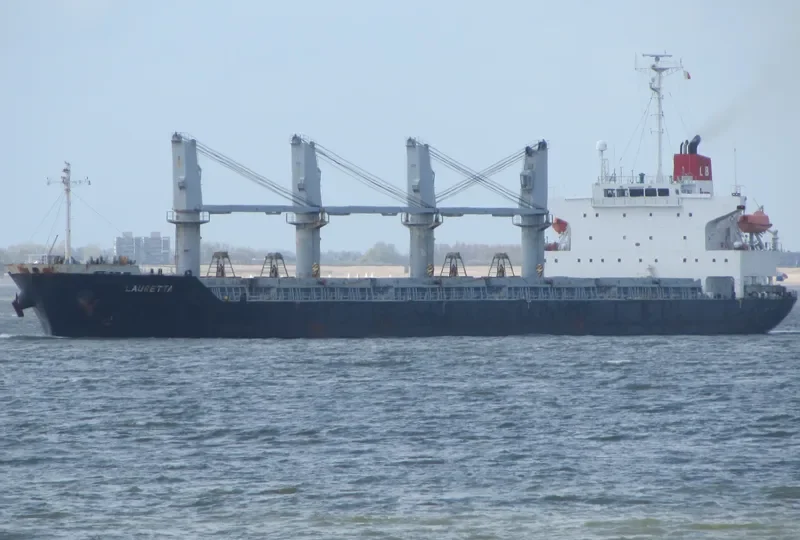 PANDA Bulk Carrier IMO 9288540 photo 10