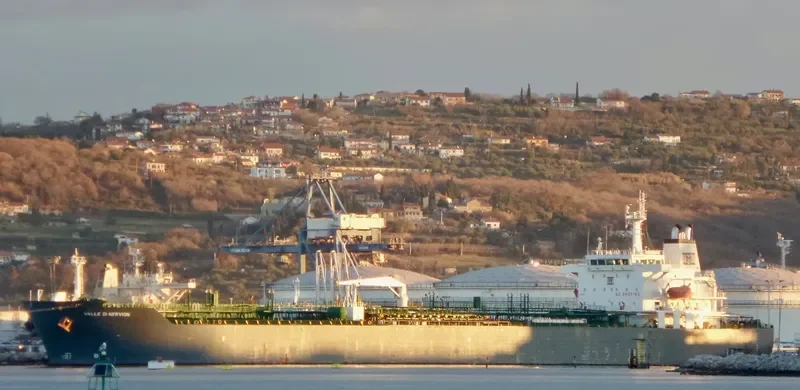 VALLE DI NERVION Tanker IMO 9288942 photo 5