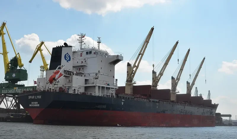 SPAR LYNX Bulk Carrier IMO 9289025 photo 2