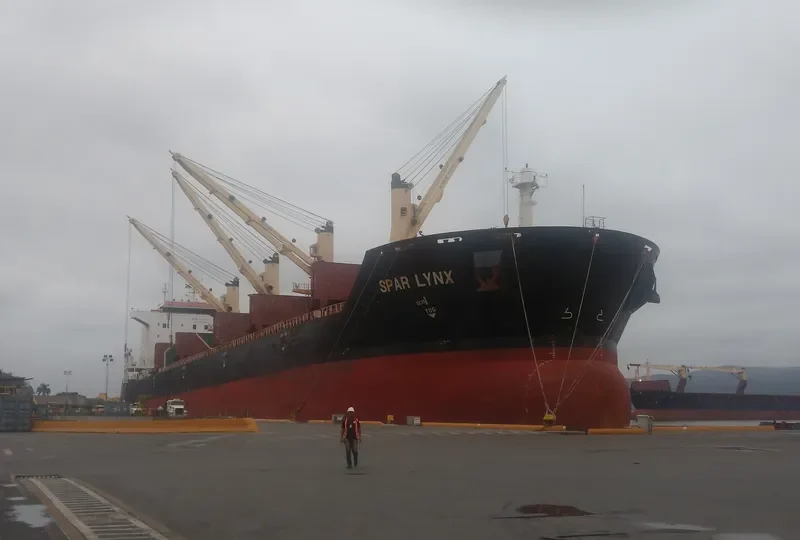 SPAR LYNX Bulk Carrier IMO 9289025 photo 4