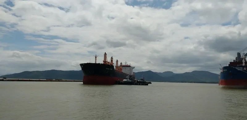 SPAR LYNX Bulk Carrier IMO 9289025 photo 6