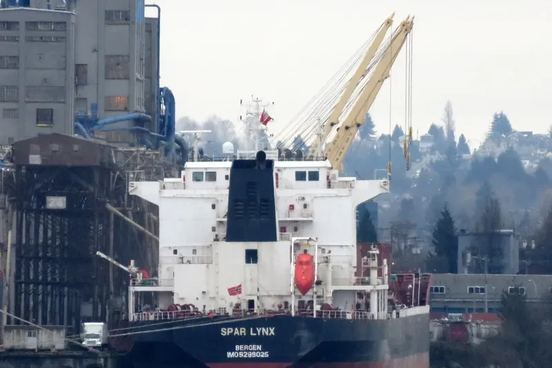 SPAR LYNX Bulk Carrier IMO 9289025 photo 8