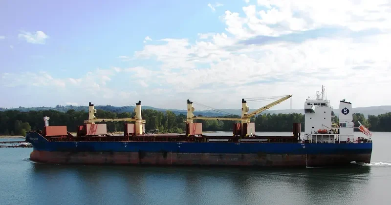 SPAR LYNX Bulk Carrier IMO 9289025 photo 10