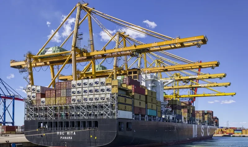 MSC RITA Container Ship IMO 9289116