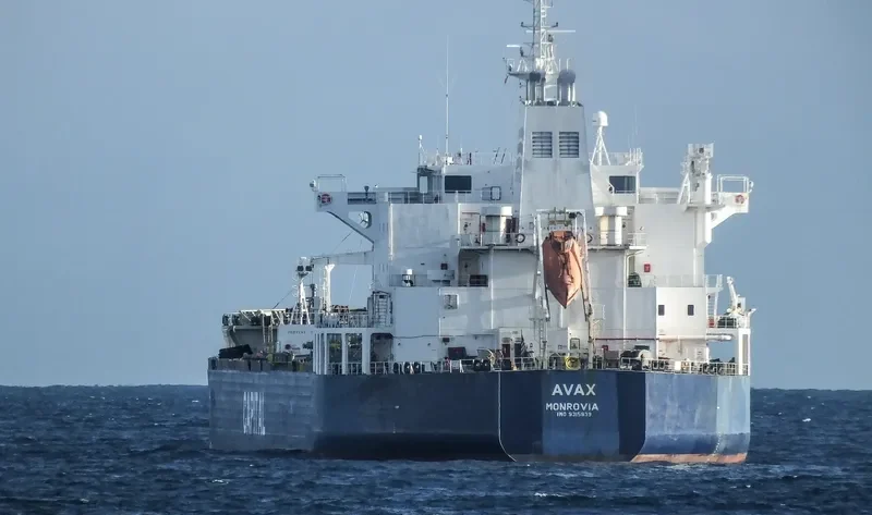 AVAX Bulk Carrier IMO 9289312
