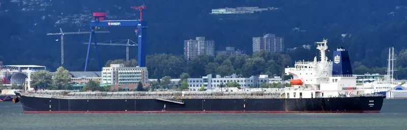 AVAX Bulk Carrier IMO 9289312 photo 2