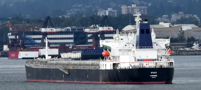 AVAX Bulk Carrier IMO 9289312 photo 3