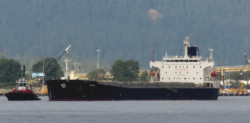 AVAX Bulk Carrier IMO 9289312 photo 4