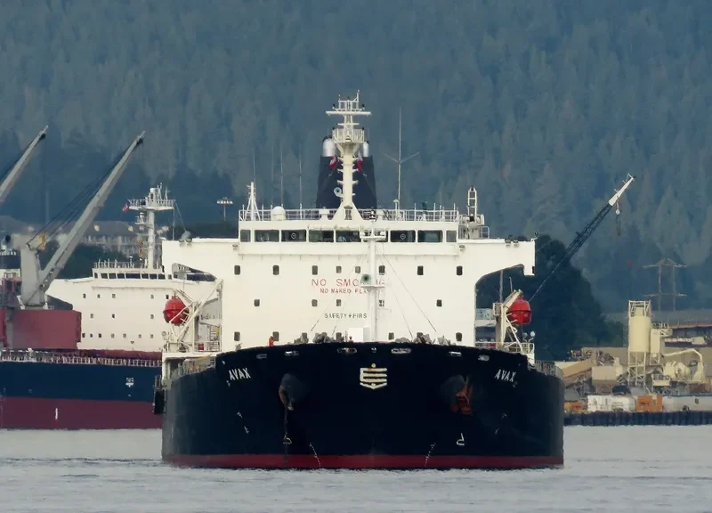 AVAX Bulk Carrier IMO 9289312 photo 5