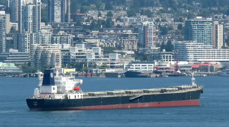AVAX Bulk Carrier IMO 9289312 photo 6