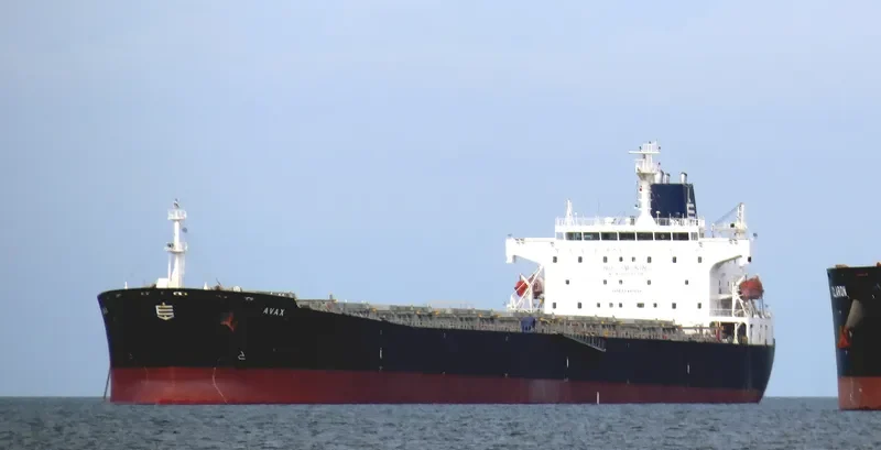 AVAX Bulk Carrier IMO 9289312 photo 8