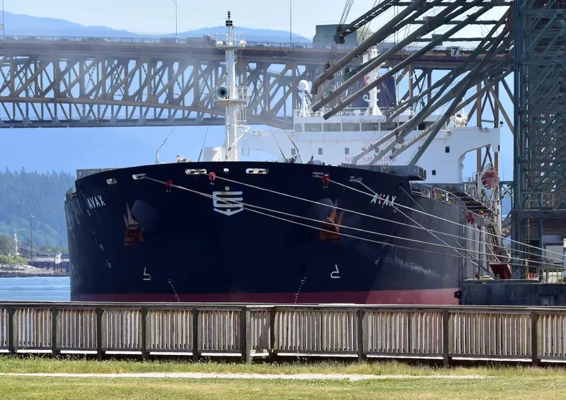 AVAX Bulk Carrier IMO 9289312 photo 10