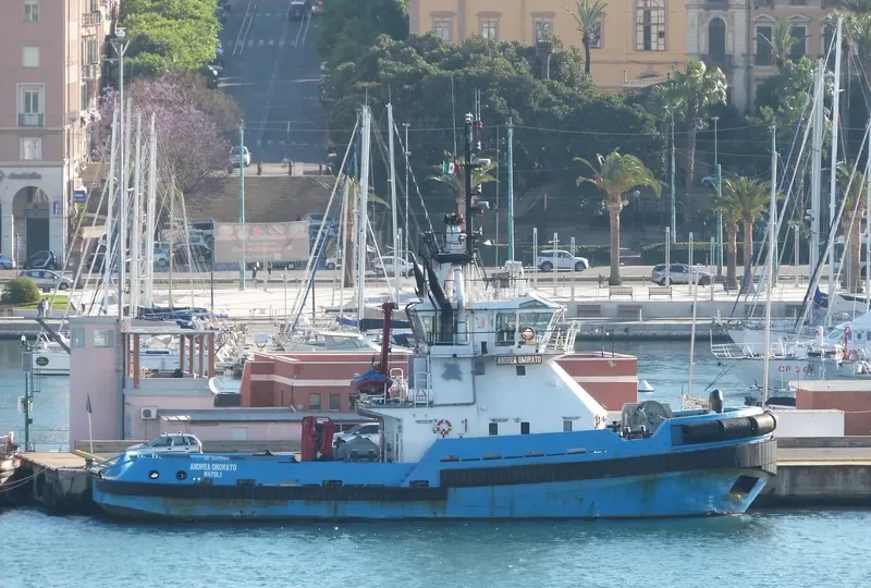 ANDREA ONORATO General Cargo IMO 9289427
