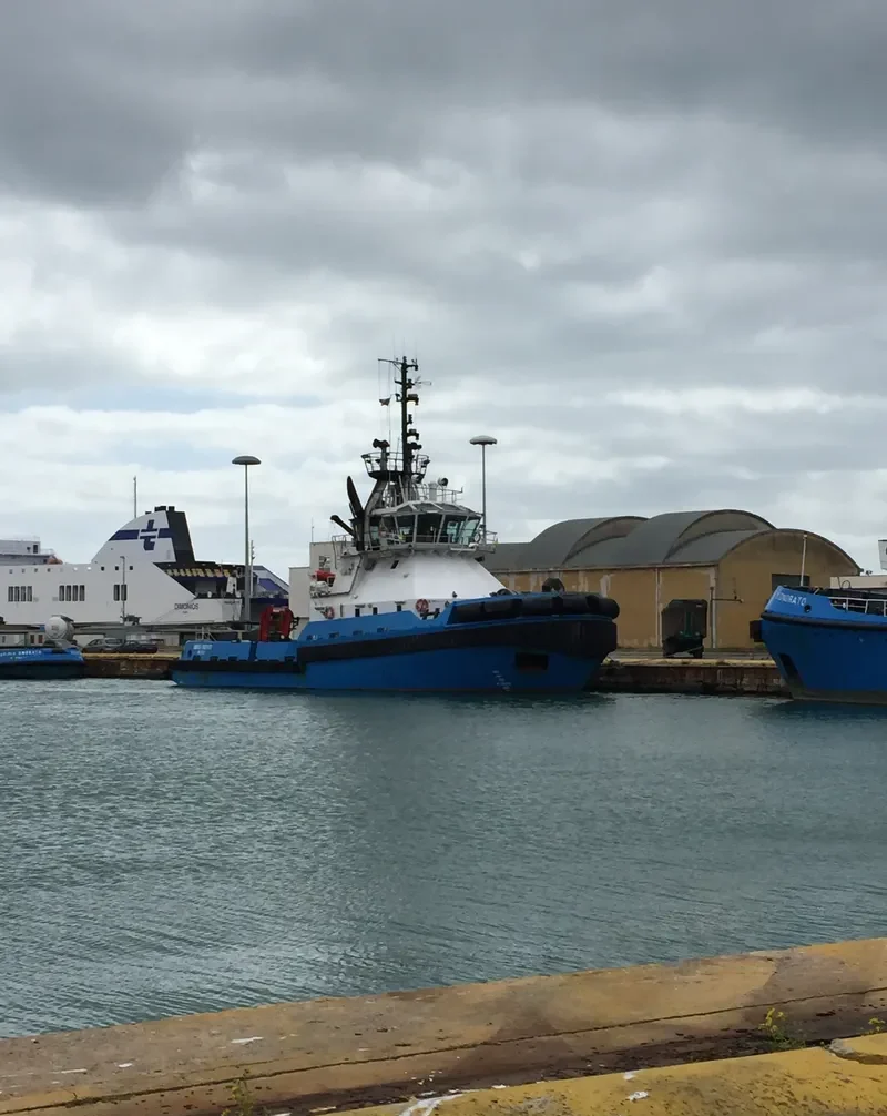 ANDREA ONORATO General Cargo IMO 9289427 photo 7