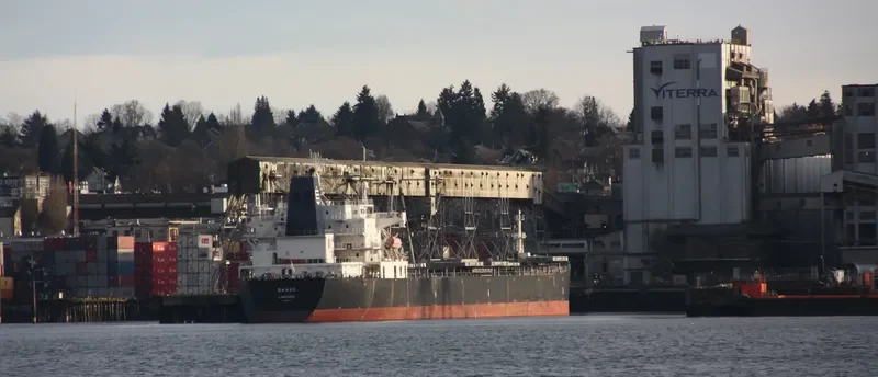 DANAE Bulk Carrier IMO 9290141 photo 7