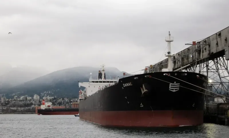 DANAE Bulk Carrier IMO 9290141 photo 8